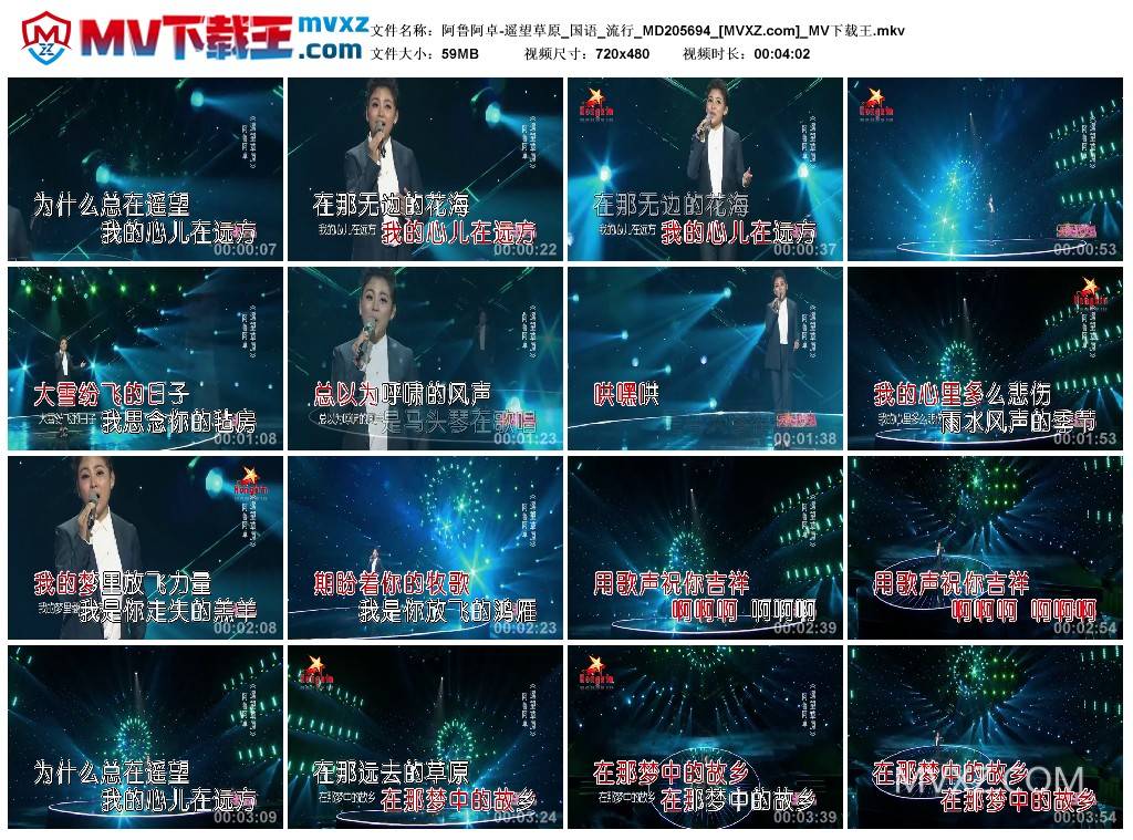 阿鲁阿卓-遥望草原_国语_流行_MD205694